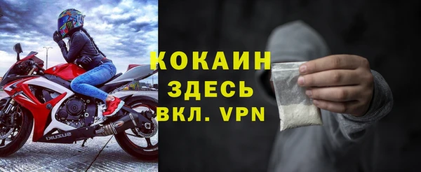 дмт Инсар