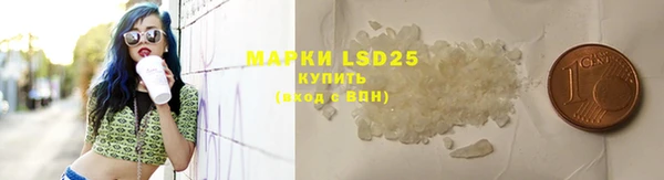 прущие грибы Белокуриха