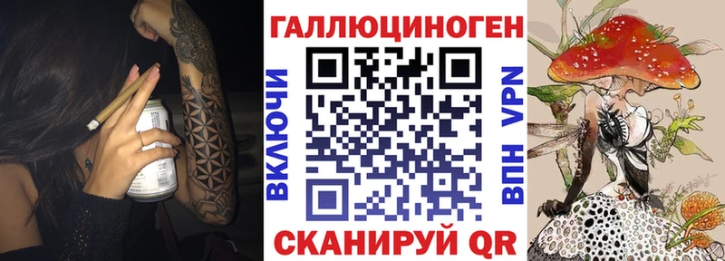 гидра как зайти  Салаир  Псилоцибиновые грибы мухоморы 